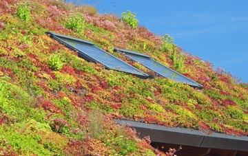 Nuthall living roof systems
